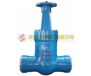 Z961Y-P54 100V  电站闸阀